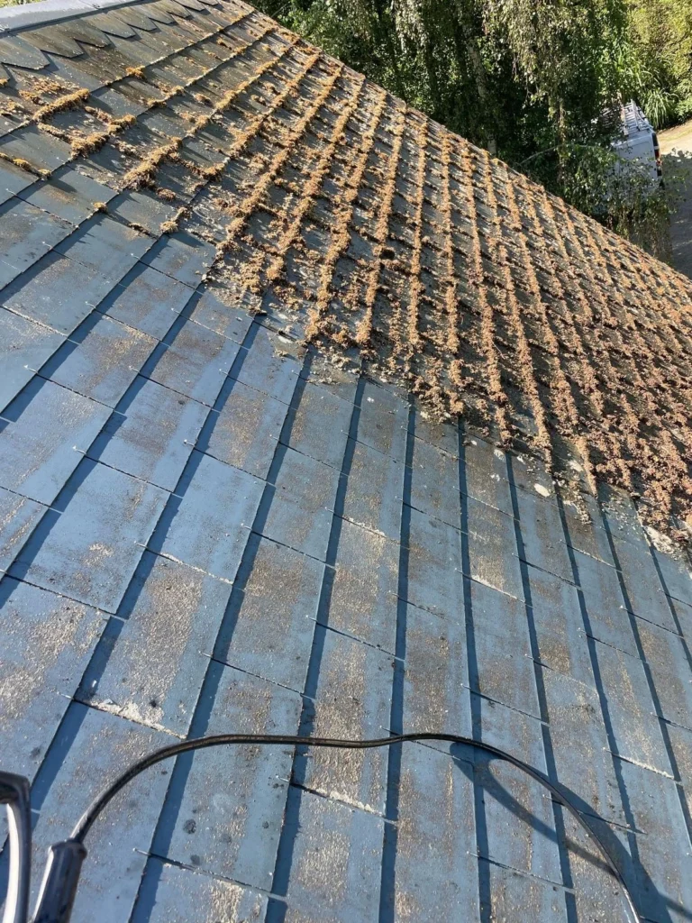 89c781da-2fdd-4cb3-b434-cce44e789f77